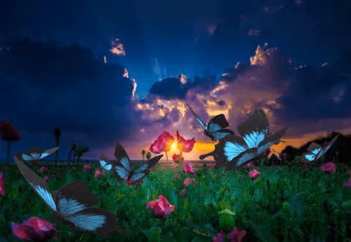 Item #41423174657448755454775180770704774351895892577704630438802697545673925984257 Media