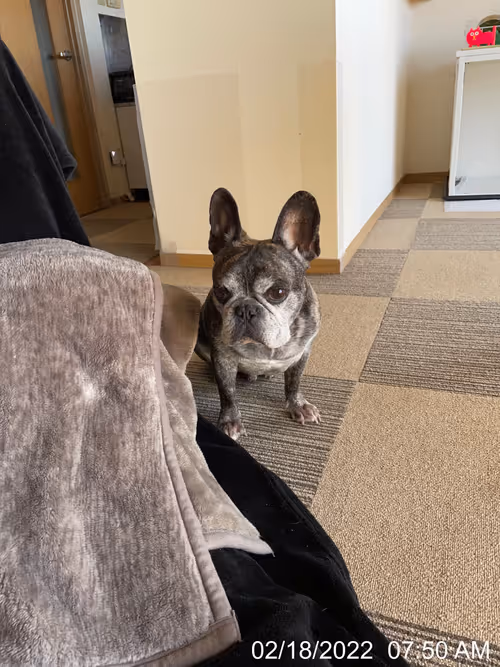 Item #99685864258770601277757069699041273913103300030191572471139504815368562540545 Media