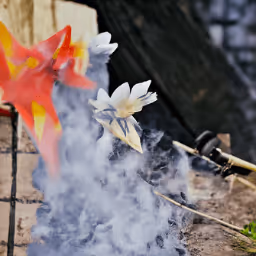 Item #17707101094511745536206163154851925595907529472372020635069989122803387858994 Media