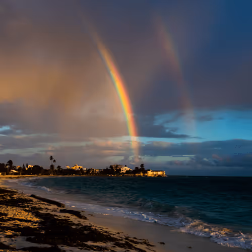 Item #18947357463558083308743301085332703717298258712978794536174415207684540203009 Media