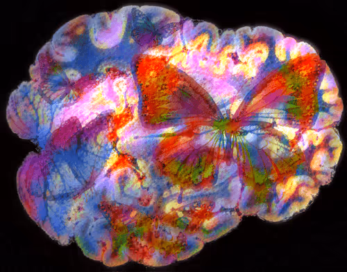 Item #29877578668728852178902598419785793077778618348046200683544678323945641869322 Media