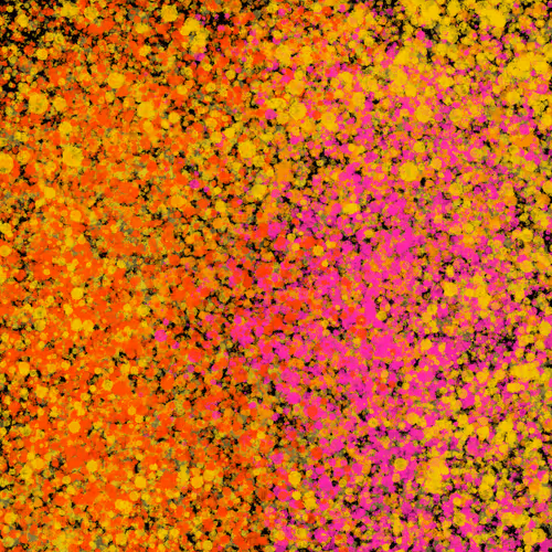 Item #7965548957634048696058756427613810033332288381231321723297303249368203132929 Media