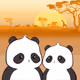 Pandas Travel