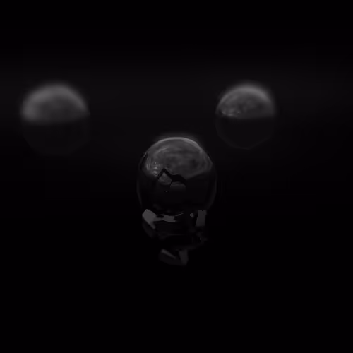 Item #51 Media