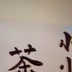 36