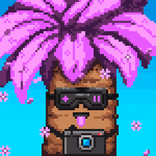 Item #9 Media