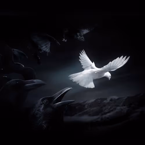 worldverse.lens-Collect-1038