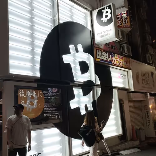 freedogecoin.lens-Collect-1353