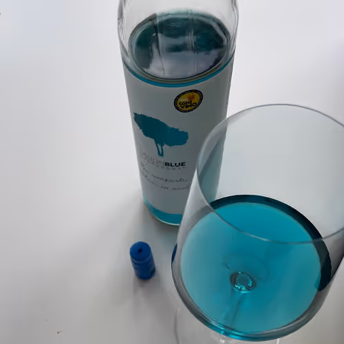 punkess.lens-Collect-6436