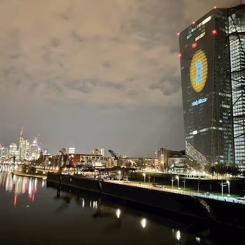 freedogecoin.lens-Collect-1084