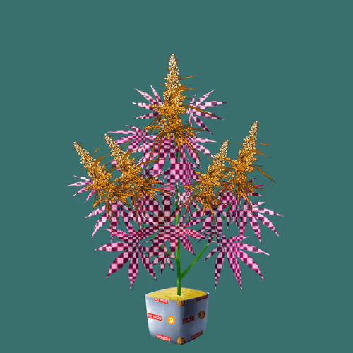 Item #6555 Media