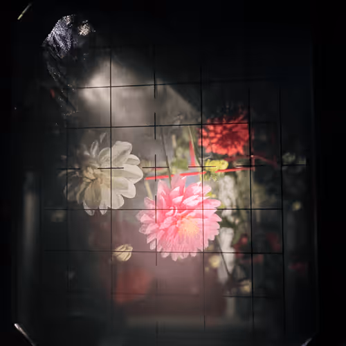 goodkrak.lens-Collect-88