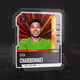 20409685