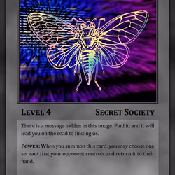 55