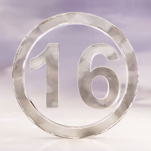 Item #17 Media