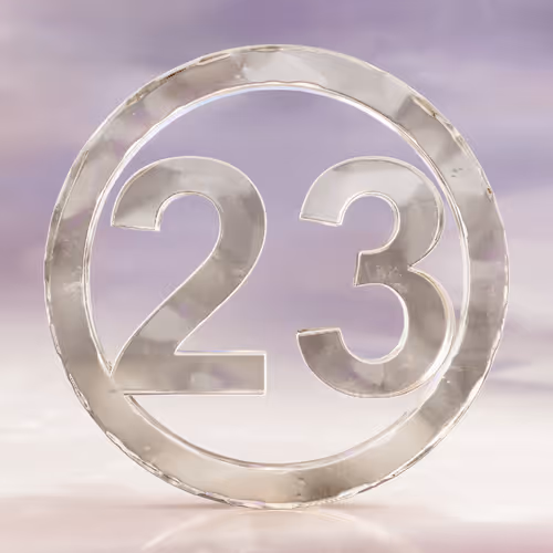 Item #24 Media