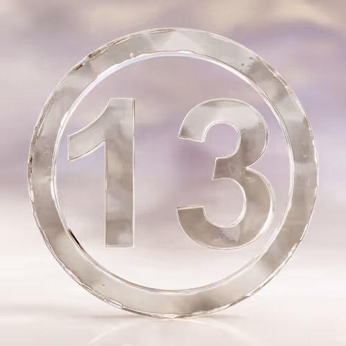 Item #14 Media