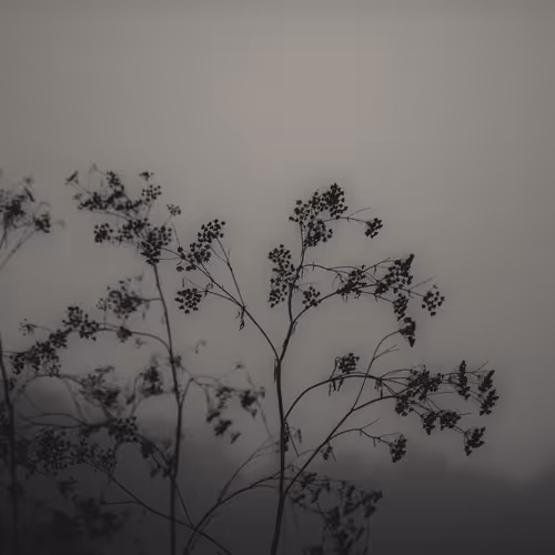 zospours.lens-Collect-5477