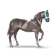 645380