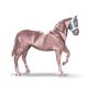 74854