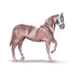 177278
