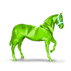 70807