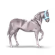 604667