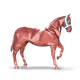 468517