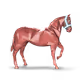 41313