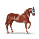 78429
