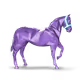 645904