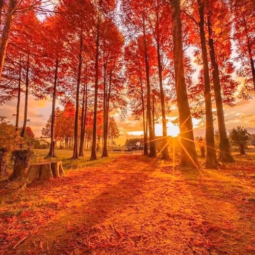 worldverse.lens-Collect-822