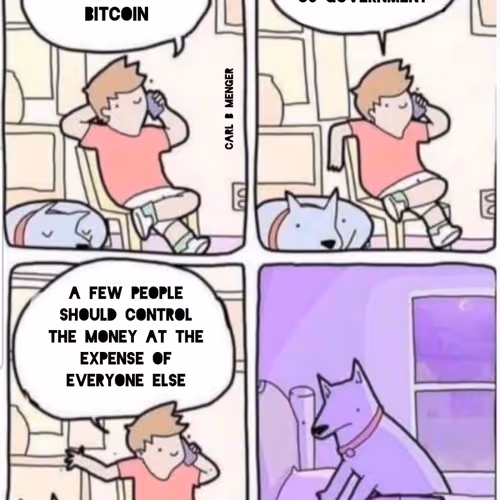 freedogecoin.lens-Collect-1347