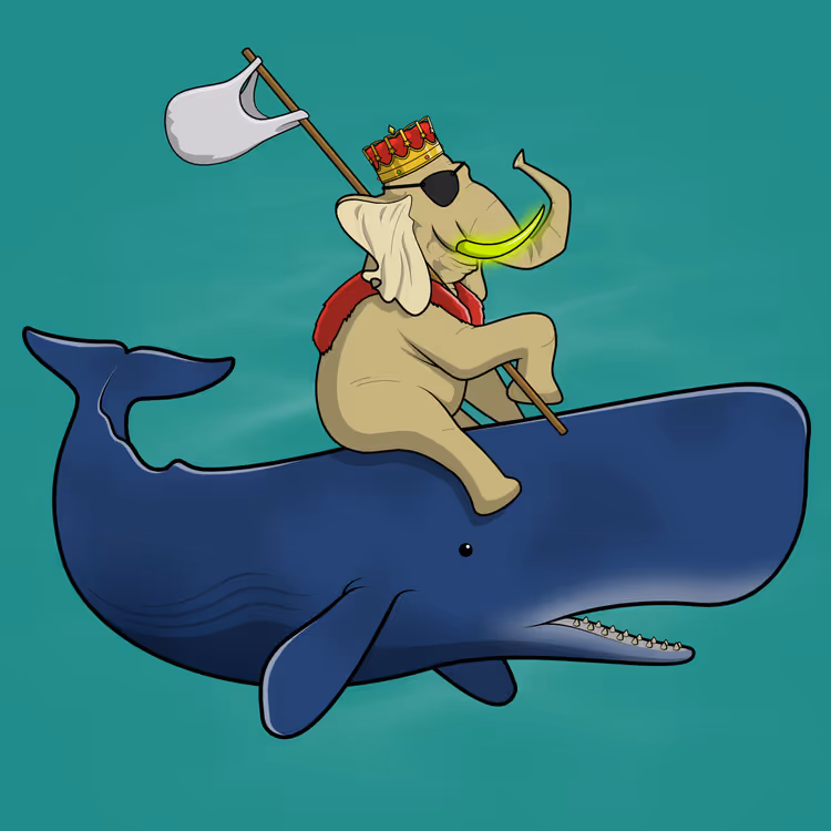 Ocean Racer #15944