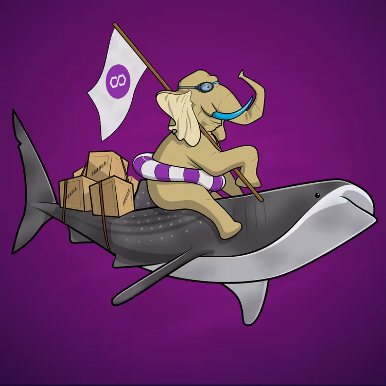 Ocean Racer #2988
