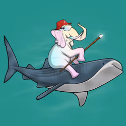 Ocean Racer #11081