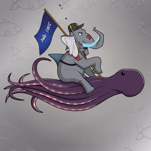 Ocean Racer #16740