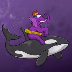 Ocean Racer #17758
