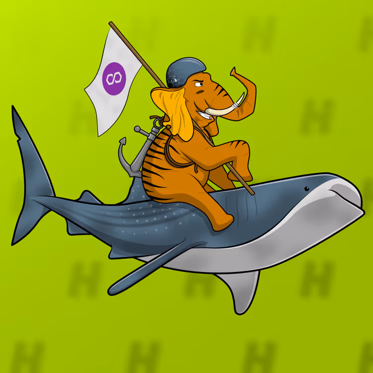 Ocean Racer #16506