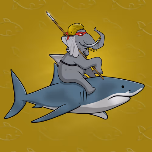 Ocean Racer #10071