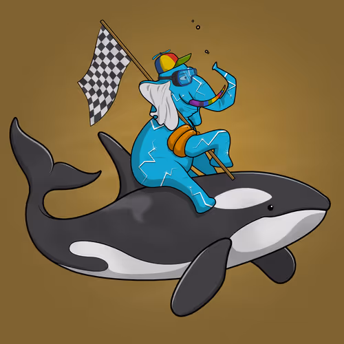 Ocean Racer #773