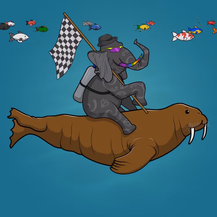 Ocean Racer #1147