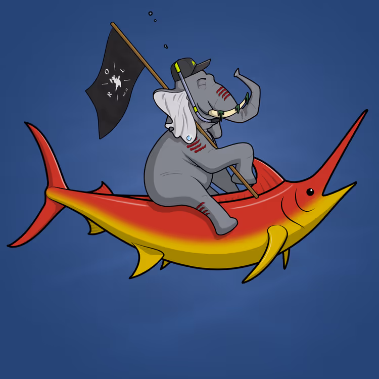 Ocean Racer #14220
