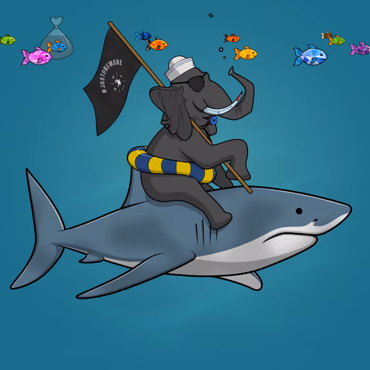 Ocean Racer #14138