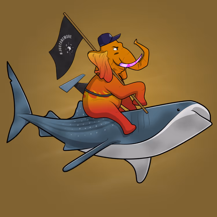 Ocean Racer #10960