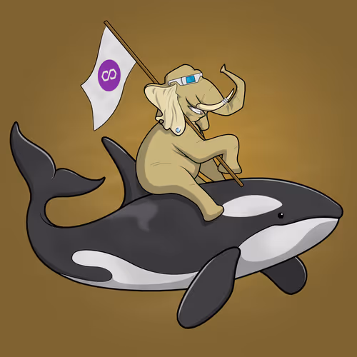 Ocean Racer #7660