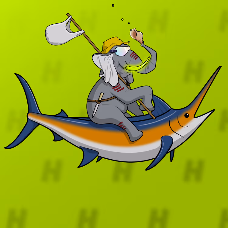 Ocean Racer #15339