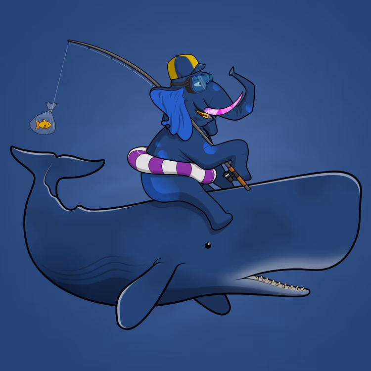 Ocean Racer #16489