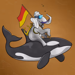 Ocean Racer #17452