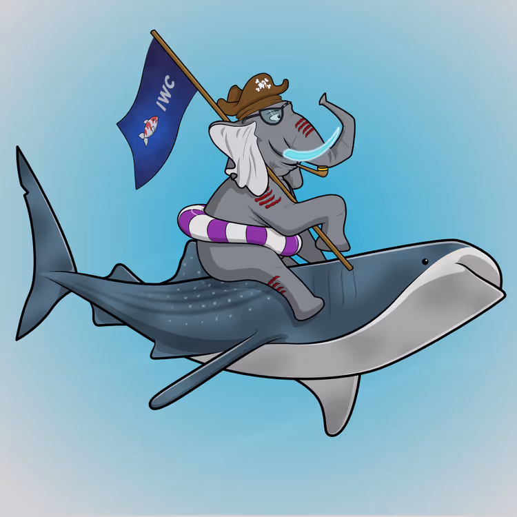 Ocean Racer #619